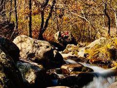 -玉渡山自然风景区