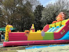 -上海共青森林公园