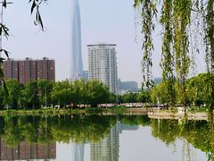 -泰丰公园