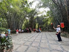 -望江楼公园