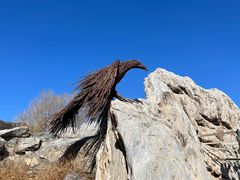 -北京西山国家森林公园