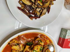 -瑞琳阿尔泰冷水鱼(康源财富中心店)