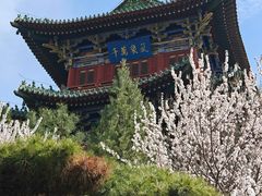-迎泽公园