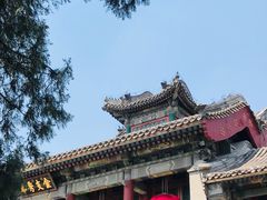-听鹂馆饭庄(颐和园店)