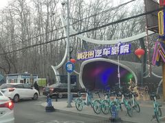 -枫花园汽车电影院(朝阳公园店)