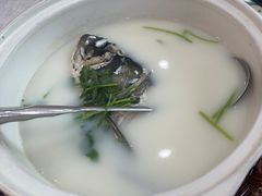 -紫藤园·天目湖大鱼头(南山竹海店)