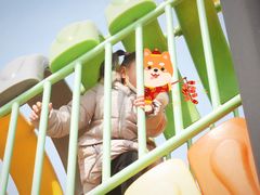 -凤凰欢乐大世界