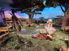 -国家自然博物馆