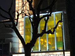 -大光明电影院(南京西路店)