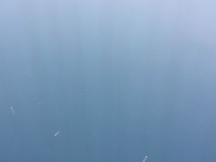 -威海大水泊国际机场