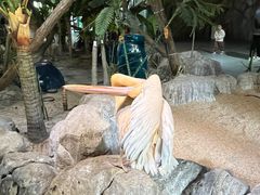 -海合安武汉极地海洋公园