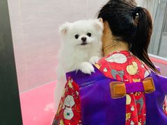 -宠福鑫康馨动物医院·骨科·眼科