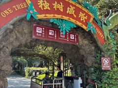 -瑞丽独树成林风景区