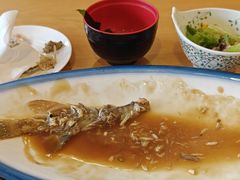 -天正河鲀·河豚亭(大连店)