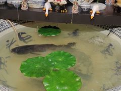 -南京金牛湖巨碗鱼头