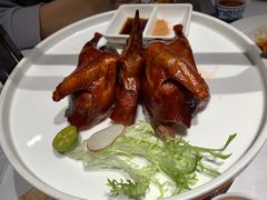 -新雅(丰盛里店)