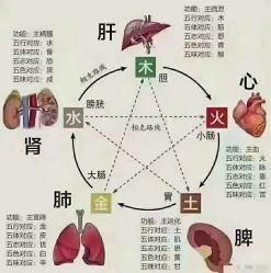 点击看大图 -香薇妮丝女子减肥院