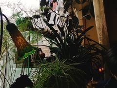 -露西亚咖啡西餐厅(哈尔滨俄侨纪念馆店)