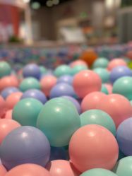 -卡通尼·Safari非洲探索乐园·生日会(金桥国际商业广场店)