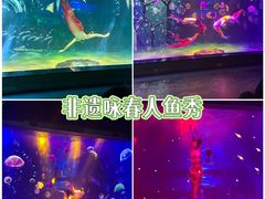 -顺德南宏海立方海洋公园