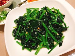 菠菜-陶陶居海鲜酒家(新马路店)