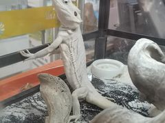 -乐宠宠物店(世纪金源店)