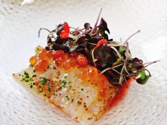 黄尾鲥鱼薄切-蝶舍·MAISON PAPILLON