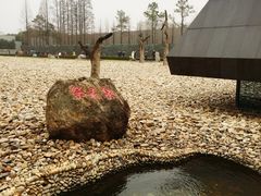 -侵华日军南京大屠杀遇难同胞纪念馆