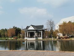 -映月湖公园