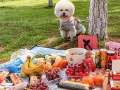 -艾溪湖湿地公园