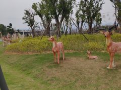 -琅岐红光湖公园