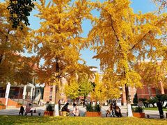 -四川大学(望江校区)