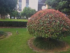 -上海漕河泾开发区闵行高科技园