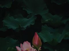 -蠡湖大桥公园
