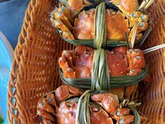 -蟹村草堂·苏式园林人文农家·大闸蟹