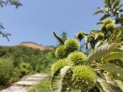 -蟠龙山长城景区