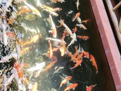 -侠成水上农庄(工业大道店)