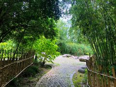 -新虹桥中心花园