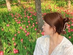 -长春公园(普阳街道)