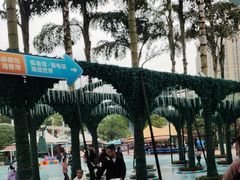 -海合安成都极地海洋公园