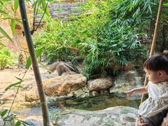 -长鹿旅游休博园
