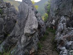 -千岛湖石林