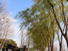 -滨湖塘西河公园