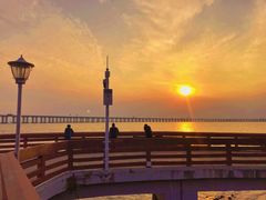 -宝安西湾红树林湿地公园