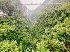 -蝶舞清江·恩施地心谷景区