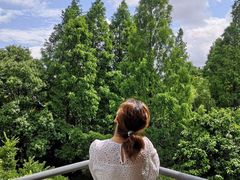 -杭州半山国家森林公园