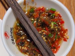 -守柴炉烤鸭(成都大邑店)