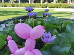 -三亚海棠湾万丽度假酒店