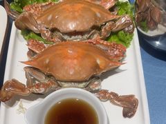 -乔家小院•非遗驴肉•本地小海鲜(滨河路店)
