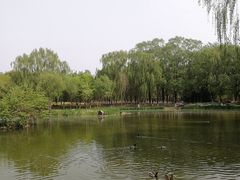-五环公园